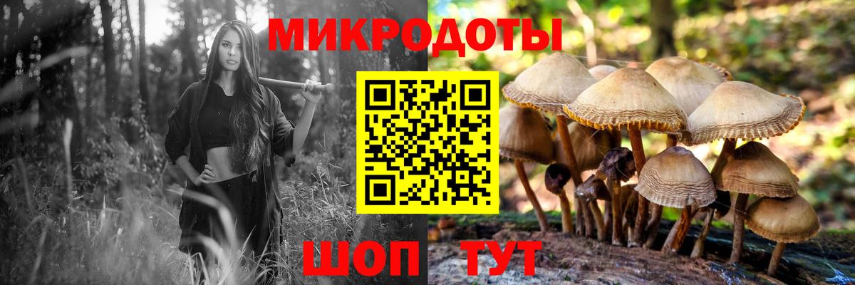 Псилоцибиновые грибы Psilocybine cubensis Сызрань